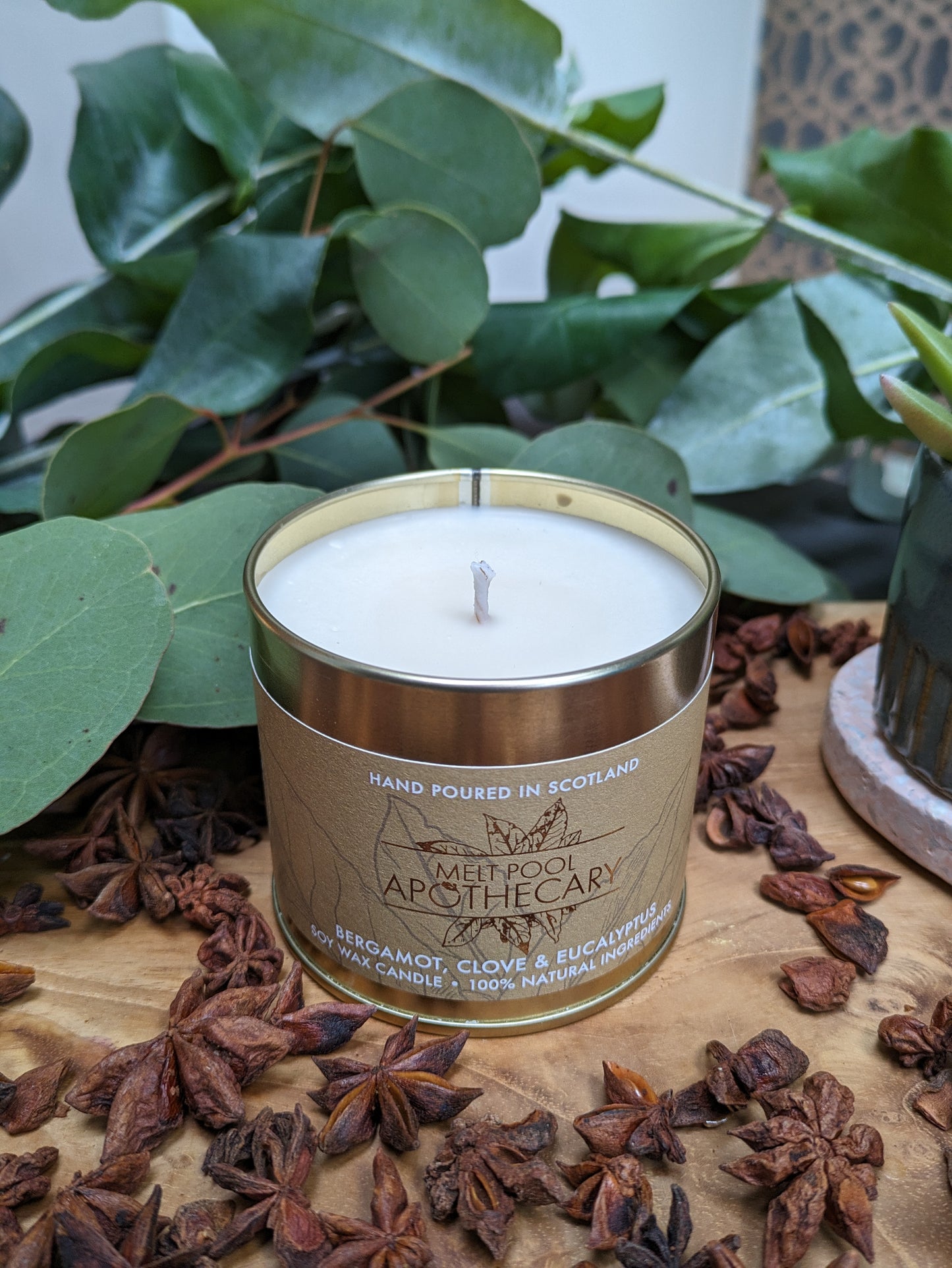 Bergamot, Clove & Eucalyptus - Large Gold Tin Candle