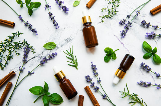 Why we created a free guide to Aromatherapy...