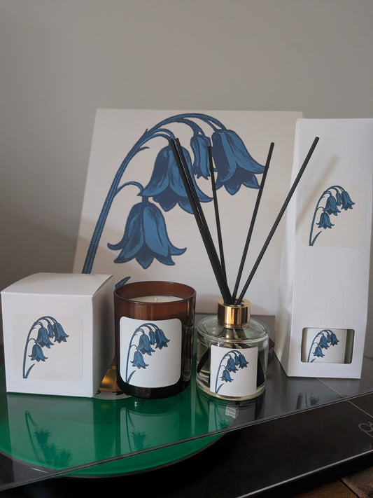 Bluebells for the Beatson Cancer Charity - Candle & Diffuser Bundle
